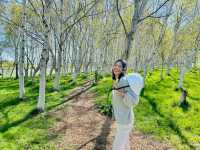 Cycling experience around Moerenuma park