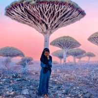 Socotra: The Alien Landscape of Earth's Most Isolated Island