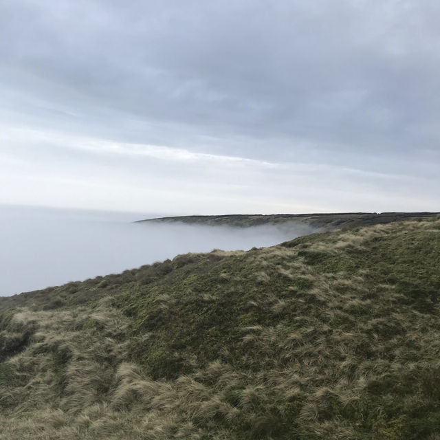 Misty moors 