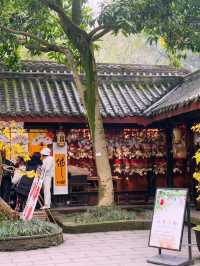 A Day of History and Wonders: Shuju Ancient Town & Leshan Giant Buddha