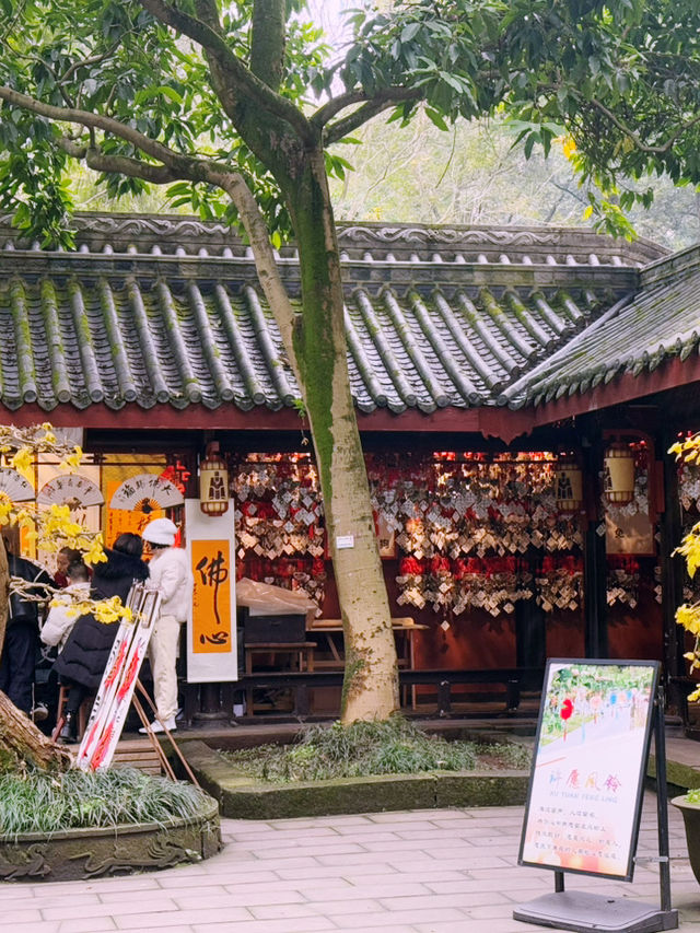 A Day of History and Wonders: Shuju Ancient Town & Leshan Giant Buddha