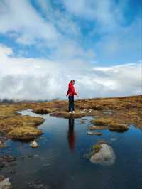 Explore Lough Ouler & Wicklow National Park from Dublin