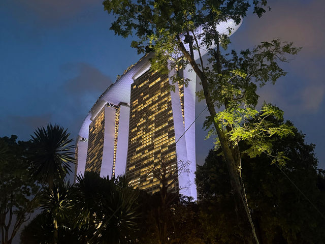 Skyline Dreams & Garden Gleams: A Singapore Story