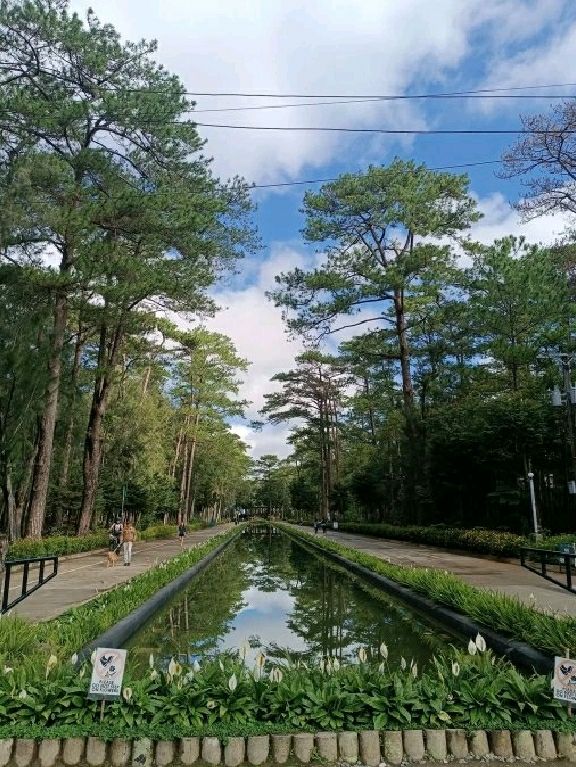 🇵🇭🌲 The Ultimate Guide to Baguio City – The Summer Capital of the Philippines! 🧳🌟