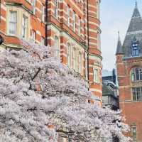 How to spend 8 days in London