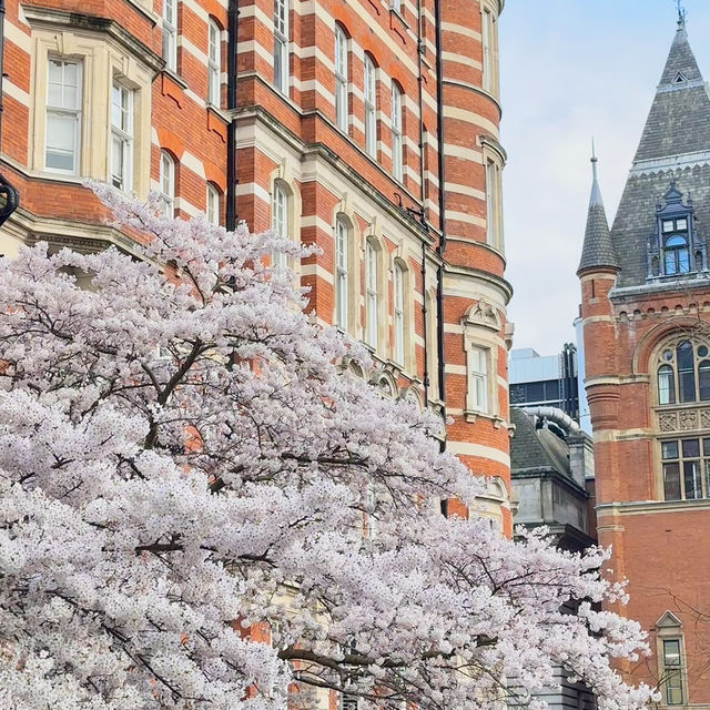 How to spend 8 days in London