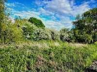 A Perfect Summer Day at Birmingham Airport Viewing Area – A Hidden Gem in Sheldon Country Park