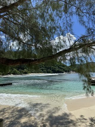 Best Place in Mahe to meet the tortoises