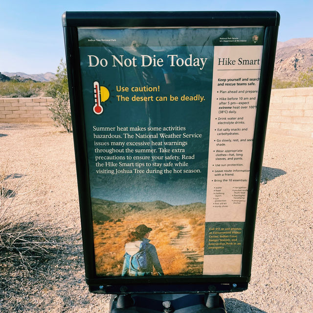 🌵 Top Must-See Landmarks in Joshua Tree National Park 🌅