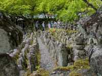 The Best 3 Days in Kyoto
