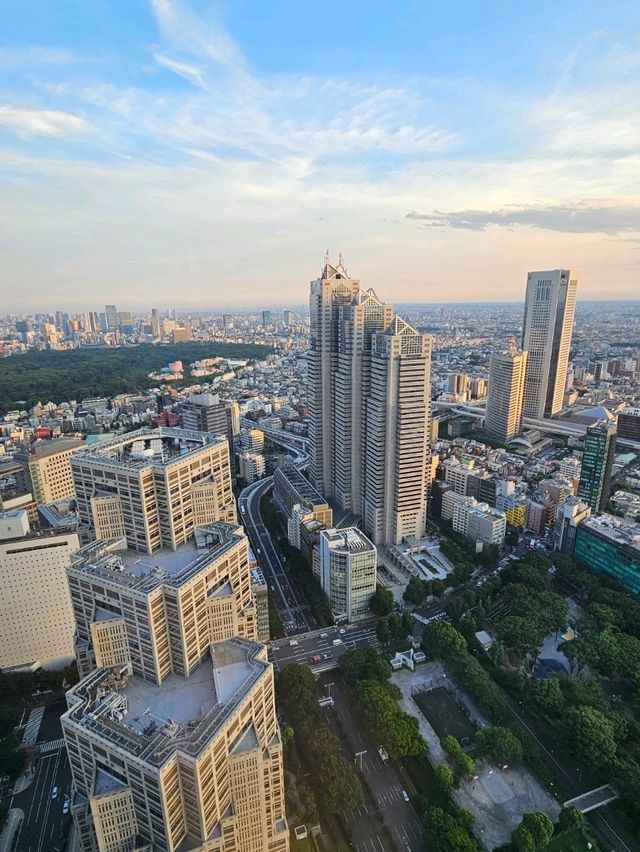 Tokyo From Above, For Free!