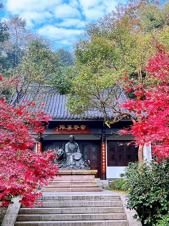 🍁 Red Leaves & Romance in Longjing Village, Hangzhou 🍂