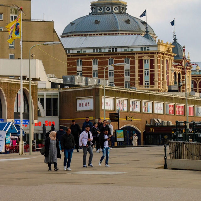 🎒 Backpacker Essentials: Rotterdam Edition