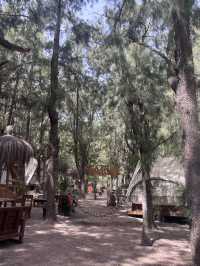 Tarifa glamping weekend 