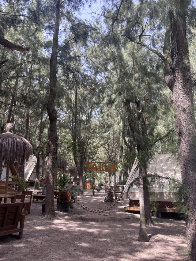 Tarifa glamping weekend 