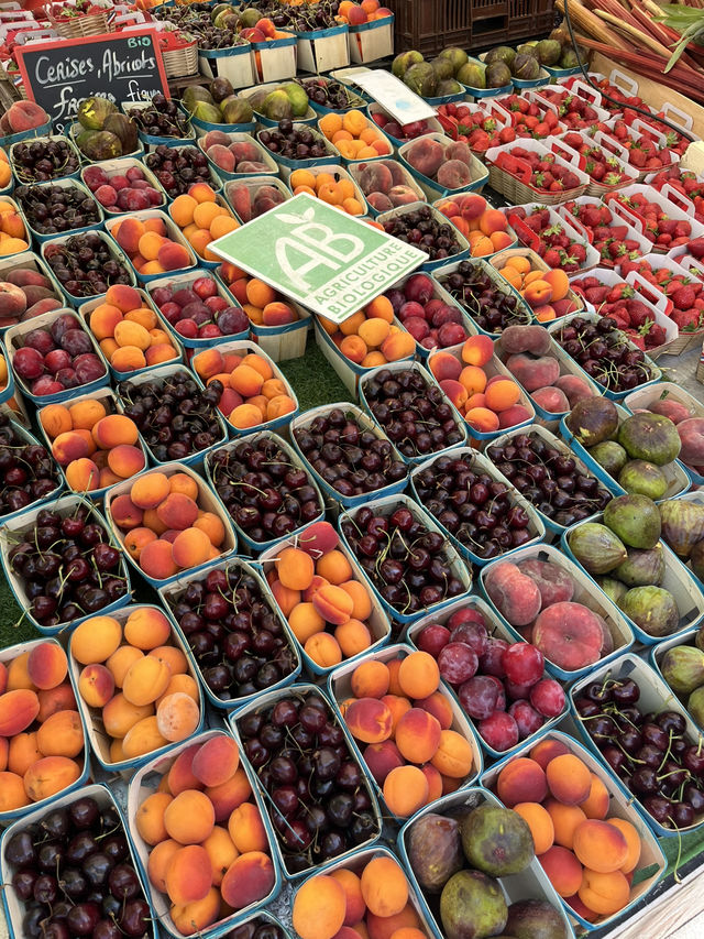 Aix en Provence ｜Saturday market you cannot miss