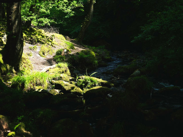 Dolgoch Waterfall - a hidden gem located within Snowdonia’s beautiful national park 