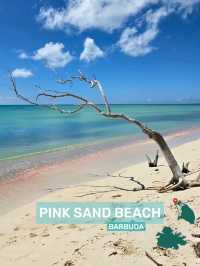Antigua and Barbuda: Twin-Island Tropical Bliss