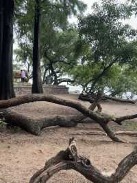 Wuxi: A Lakeside City of Beauty and Culture