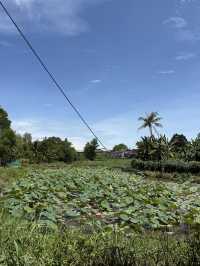 1 Night in Huế for Under $100: Royal History, Local Life & River Views