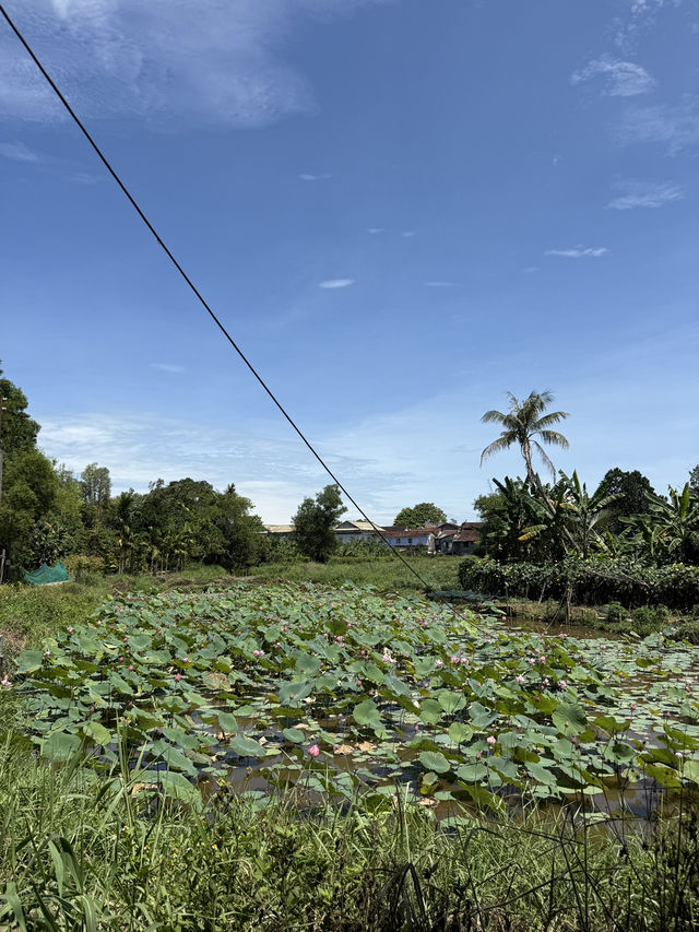 1 Night in Huế for Under $100: Royal History, Local Life & River Views