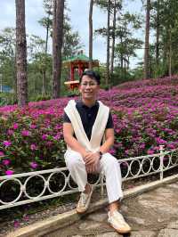 🌿🌸 Baguio’s Hidden Jungle: A Walk Through Botanical Wonder 