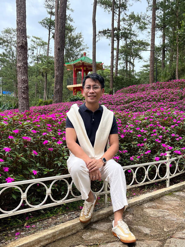 🌿🌸 Baguio’s Hidden Jungle: A Walk Through Botanical Wonder 