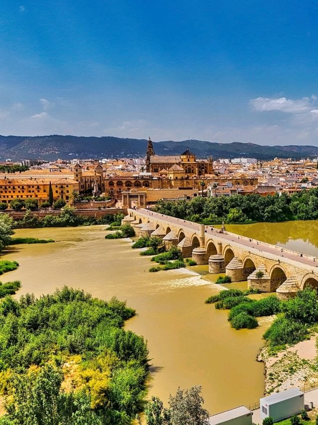 🌸 Córdoba Magic: Andalusia’s City of Flowers & History