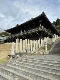 Deer, Temples & Tranquility: The Ultimate Nara Park Stroll 