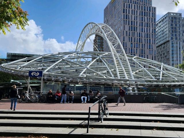 Colourful ROTTERDAM