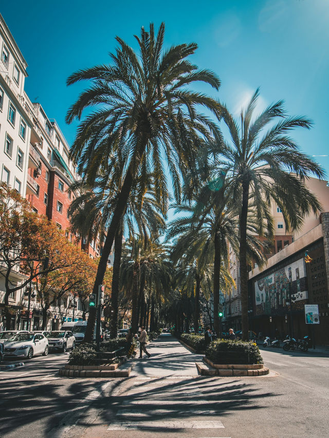 🧡🍊 Weekend Getaway in Valencia: Markets & Hidden Streets 🌿🏙️ 🧡🍊 Weekend Getaway in Valencia: Markets & Hidden Streets 🌿🏙️