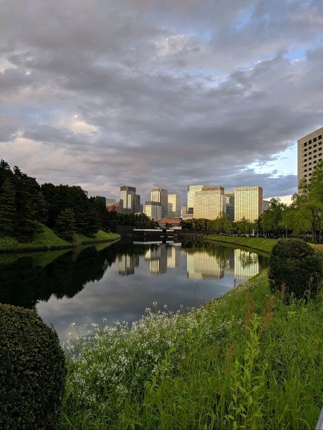 Modern Tokyo Views🏙️