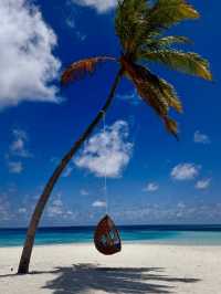 Cocoon Maldives — Where Luxury Meets the Art of Doing Nothing