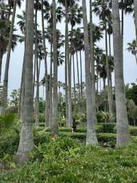 Nature Unveiled๐ณ  Hallim Park in Jeju