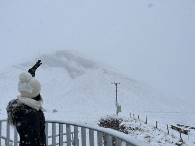 Switzerland! Switzerland!