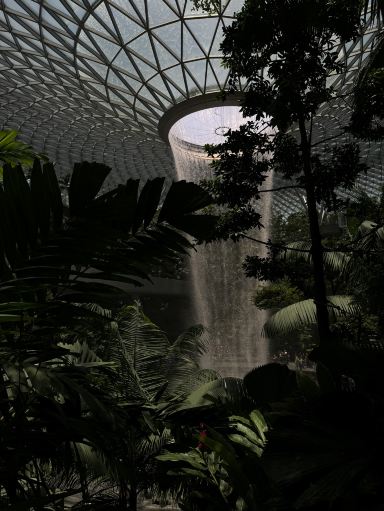 世界で最も美しい空港 | Trip.com シンガポール