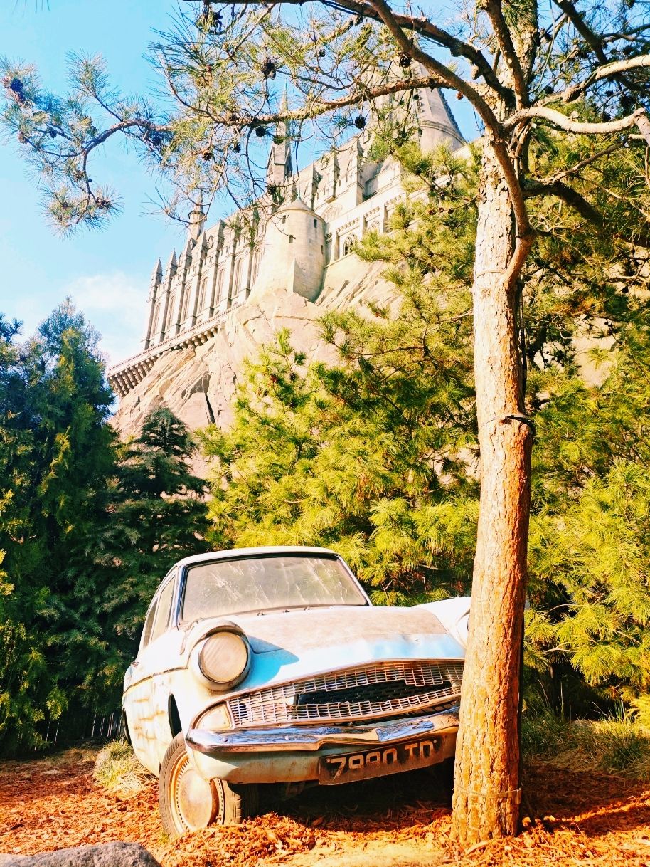 🌙 WHEN TO HIT THE HARRY POTTER AREA (IF YOU'VE ALREADY EXPLORED THE REST OF THE PARK)
It's simple. Head to Hogsmeade after the lines for the other top rides have closed.
Here’s what your day should look like:
1. You've thoroughly covered the rest of the park's must-dos:
· Jurassic World Adventure.
· Decepticoaster (Transformers).
· Minion Mayhem.
· Kung Fu Panda (this is always empty, go whenever).
2. The time is around 4:30 PM – 6:00 PM.
This is the perfect window to enter the Harry Potter area.
Why right now:
· The main crowd is already heading for the exit, not Hogwarts.
· The people who came to the park just for Harry Potter are exhausted, stuffed with sweets, and have already headed back to their hotels.
3. What you get as a reward for your patience:
· Forbidden Journey: The line at the entrance looks intimidating from the outside, but it's an illusion. Once inside, you can walk straight through the castle corridors without stopping. You can snap photos of the Gryffindor common room and Dumbledore without strangers' backs ruining your shots.
· The Three Broomsticks Terrace: Grab any table by the railing. No one will be hovering over you, waiting for you to finish your corn.