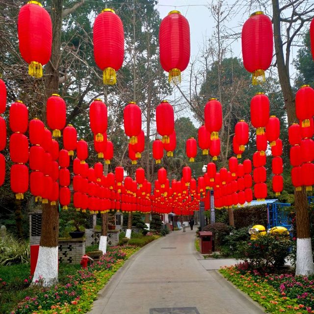 Chengdu Panda and city day 