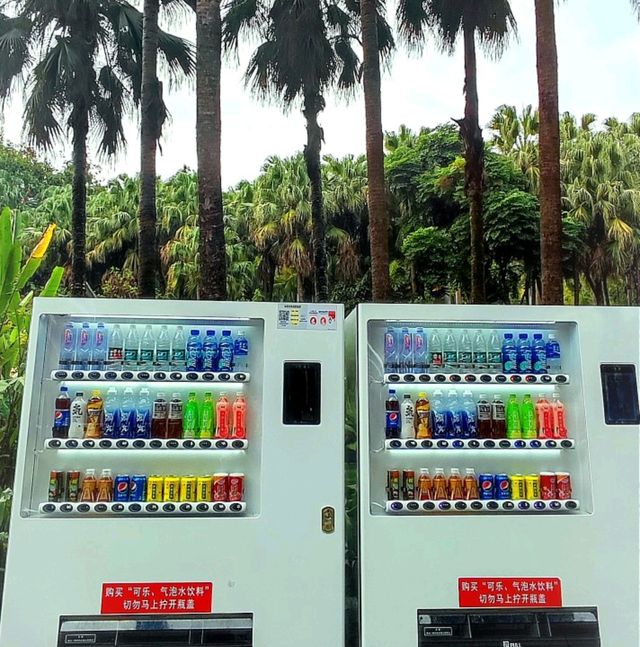 KFC Kiosk in Lianhuashan Park Futian 