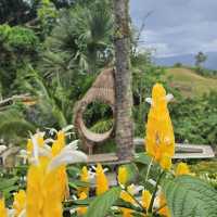 Sirao Garden in Cebu 