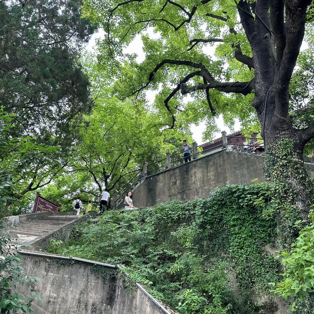 寧波奉化，偉人故鄉