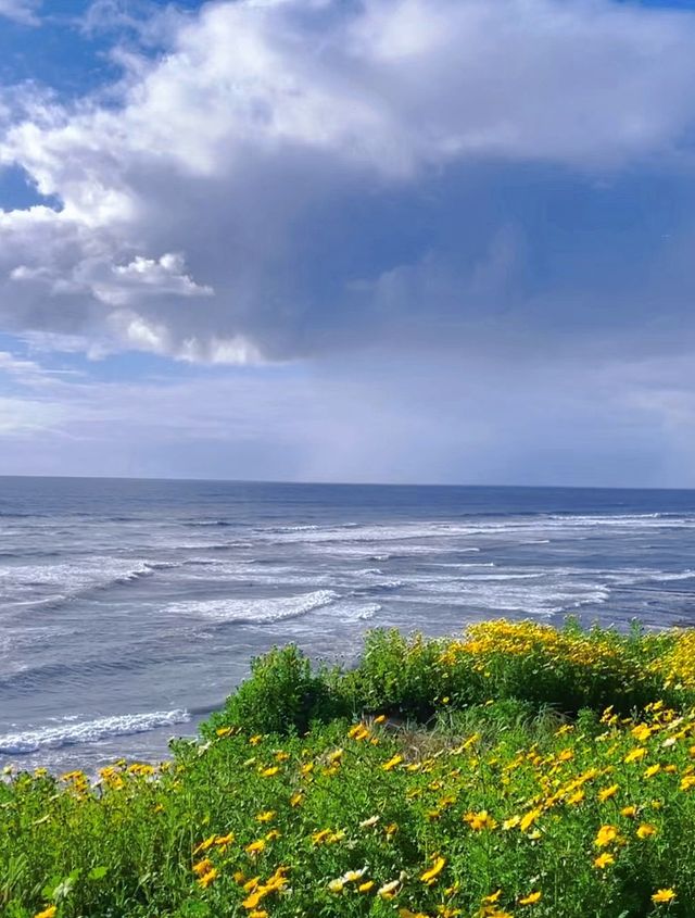 Hiking route, walking along the cliff flower sea may bring you peace...
