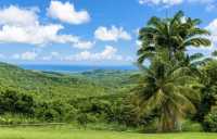 Barbados, the "Land of Coral"