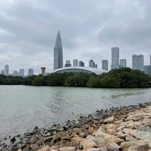 The best way to see the Shenzhen Skyline 