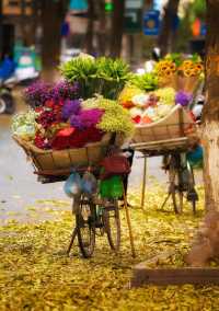The autumn scenery in Hanoi, Vietnam is so romantic💕