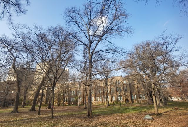 北海道大學校園—關不住的滿園秋色