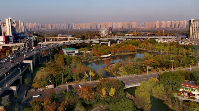 航拍大美洋湖濕地公園