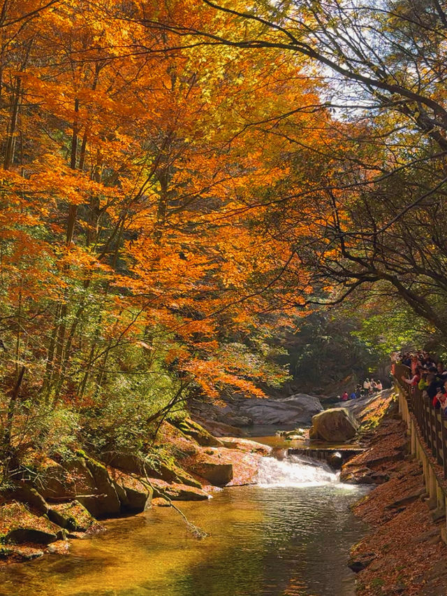 川東北旅行丨尋找四川秋日名片（十八月潭篇）