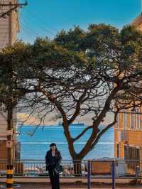 青島CityWalk(之)小青島八大峽