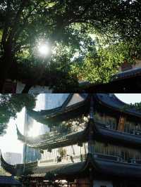 寧波遊玩推薦丨七塔禪寺